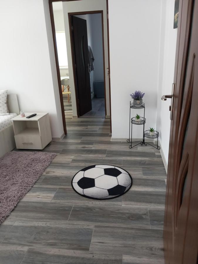 Dana Studio Tulcea Exterior photo